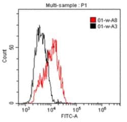 IL1RAPL1 Mouse anti-Human, Clone: B-L43, Novus Biologicals:Antibodies:Primary